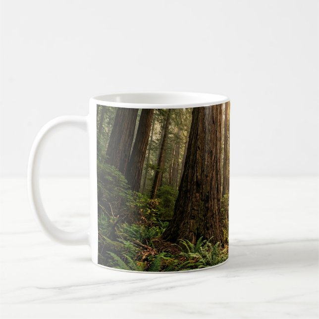 Taza De Café Paseo por el bosque (Izquierda)