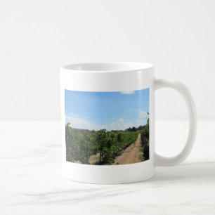 Taza De Café Paso Robles, California, país vinícola