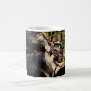 Taza De Café Pastor alemán por Shirley Taylor