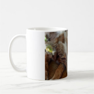 Taza De Café pastor australiano de merle rojo durmiendo