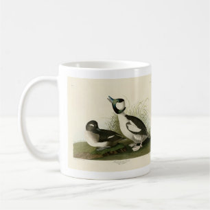 Taza De Café Pato con cabeza de buffel de los pájaros de Améric