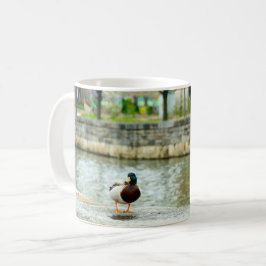 Taza De Café Pato en el puerto