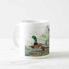 Taza De Café Pato Mallard, 1834, de los pájaros de América