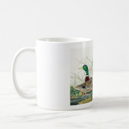 Taza De Café Pato Mallard, 1834, de los pájaros de América