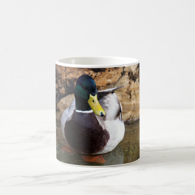 Taza De Café Pato masculino del pato silvestre (Centro)
