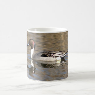 Taza De Café Pato Rabudo Nada En Un Estanque