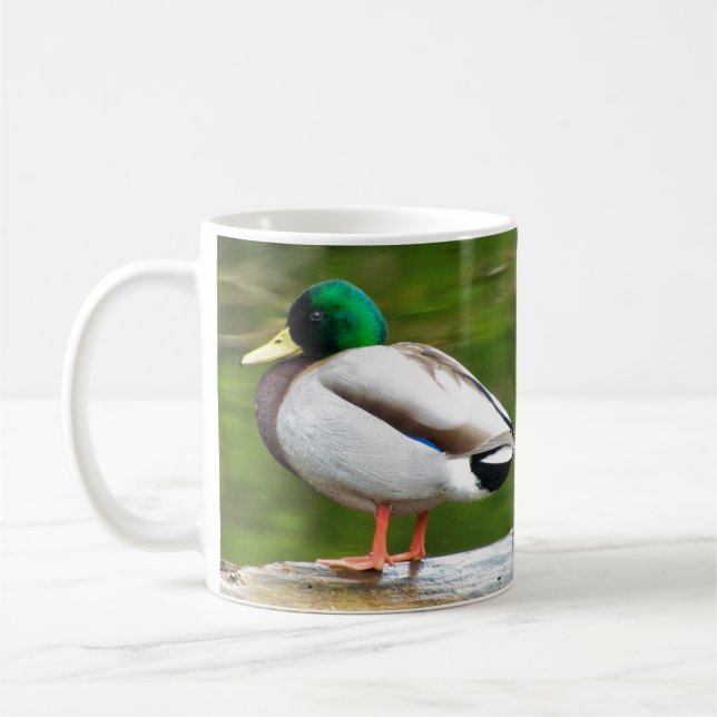 Taza De Café Pato sobre una roca (Izquierda)