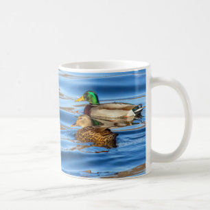 Taza De Café Patos En Agua Azul