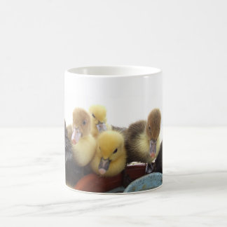 Taza De Café Patos lindos del bebé
