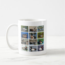 Taza De Café Patos salvajes de Norteamérica