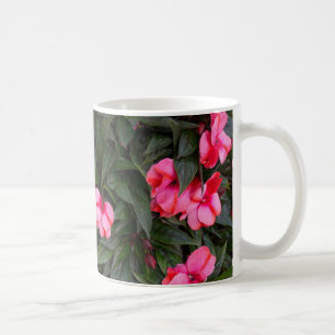 Taza De Café Patrón de flores de Impatiens de Nueva Guinea rosa