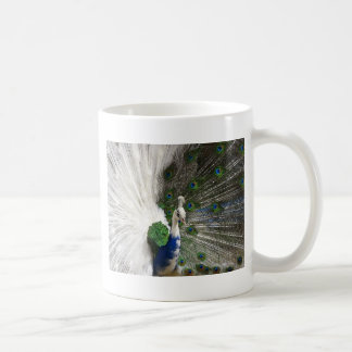 Taza De Café Pavo real