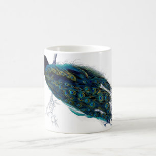 Taza De Café Pavo real del vintage