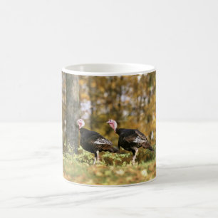 Taza De Café Pavo salvaje