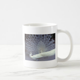 Taza De Café Pavos reales blancos