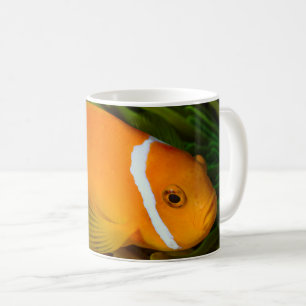 Taza De Café Payaso Fish White Coffee Mug