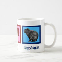 Paz Amor Capybaras