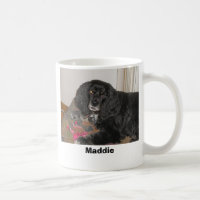 PB130001, Maddie