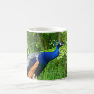 Taza De Café Peacock