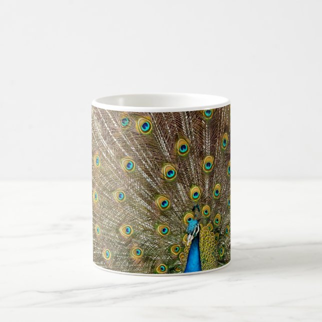 Taza De Café Peacock Tail Feathers (Centro)