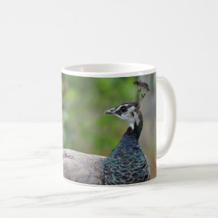 Taza De Café Peafowl Mug