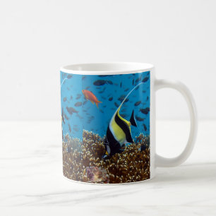 Taza De Café Peces tropicales