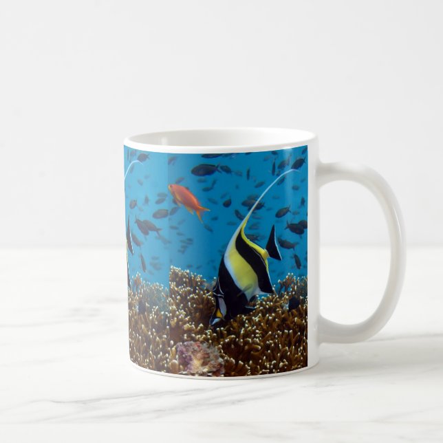 Taza De Café Peces tropicales (Derecha)