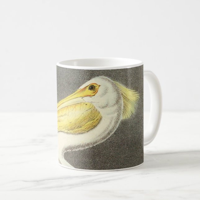 Taza De Café Pelican blanco estadounidense por Audubon (Anverso derecho)