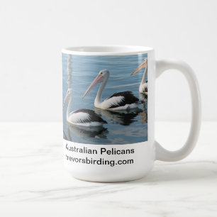 Taza De Café Pelícanos australianos