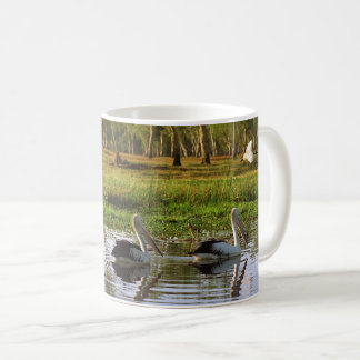 Taza De Café Pelícanos australianos, Parque Nacional Kakadu, NT