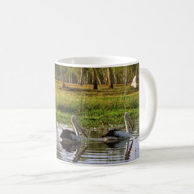 Taza De Café Pelícanos australianos, Parque Nacional Kakadu, NT (Anverso derecho)