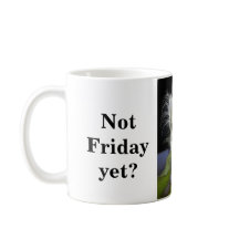 Pelo de viernes de Timmy