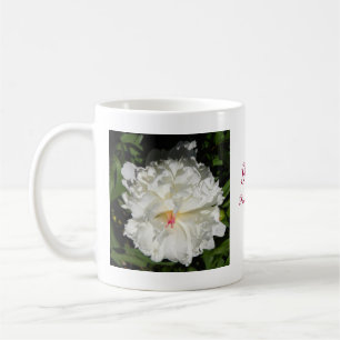 Taza De Café peony Close Paeonia lactiflora
