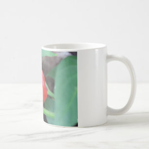 Taza De Café Pepper Garden Mix