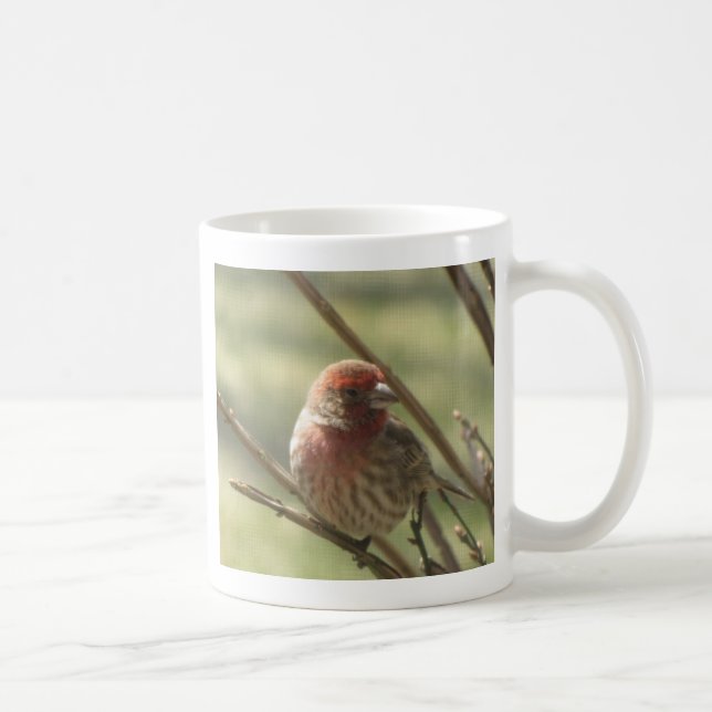 Taza De Café Pequeña ave en lienzo (Derecha)