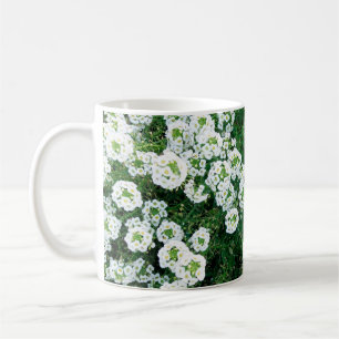 Taza De Café Pequeñas flores blancas en el césped durante el dí