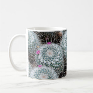 Taza De Café Pequeñas flores rosas cactus Plantas