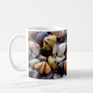 Taza De Café Pequeñas y coloridas conchas de almejas