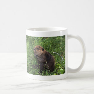 Taza De Café Pequeño castor lindo