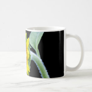 Taza De Café Pequeño girasol