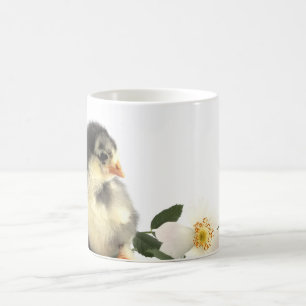 Taza De Café Pequeños pollos esponjosos, bebé dulce