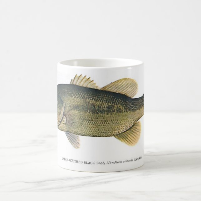Taza De Café Perca americana (Centro)