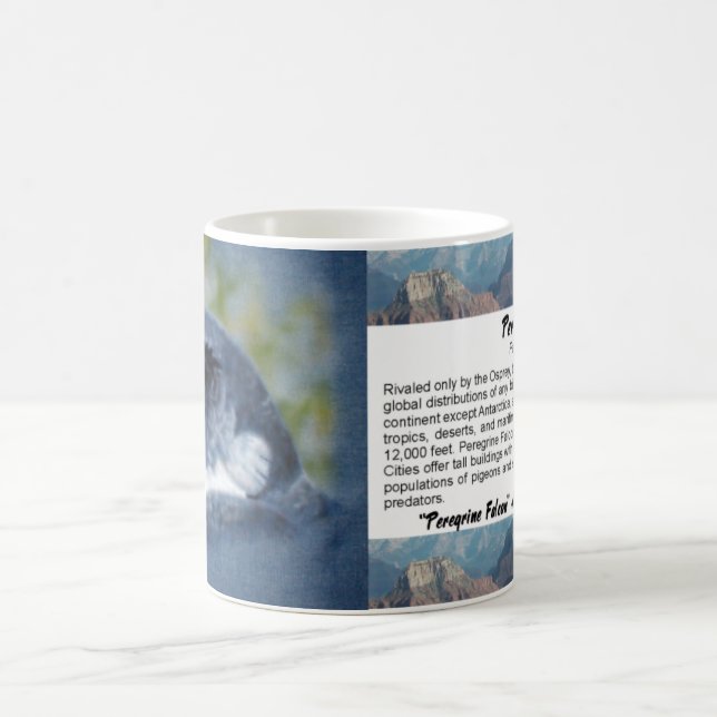 Taza De Café Peregrine Falcon Mug (Centro)