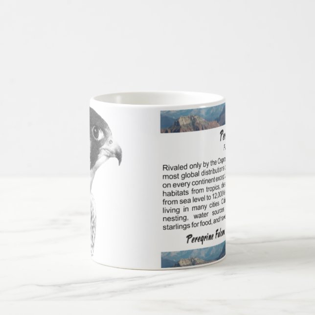 Taza De Café Peregrine Falcon-Pencil (Centro)