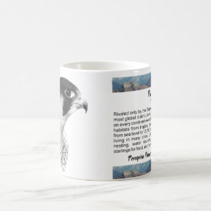 Taza De Café Peregrine Falcon-Pencil