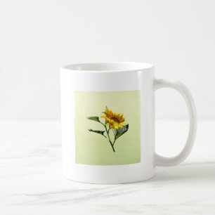 Taza De Café Perfil de un tazón de café girasol