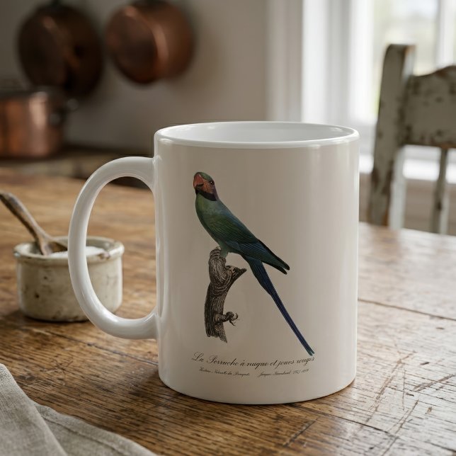 Taza De Café Perico Colilargo, Psittacula Longicauda (Long-Tailed Parakeet, Psittacula Longicauda. Coffee Mug)