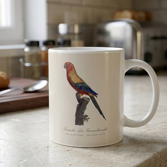 Taza De Café Perico Sol, Aratinga Solstitialis (Sun Parakeet Male, Aratinga Solstitialis. Coffee Mug)