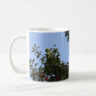Taza De Café Periquito verde
