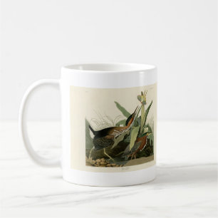 Taza De Café Perón verde, los pájaros de América de John James